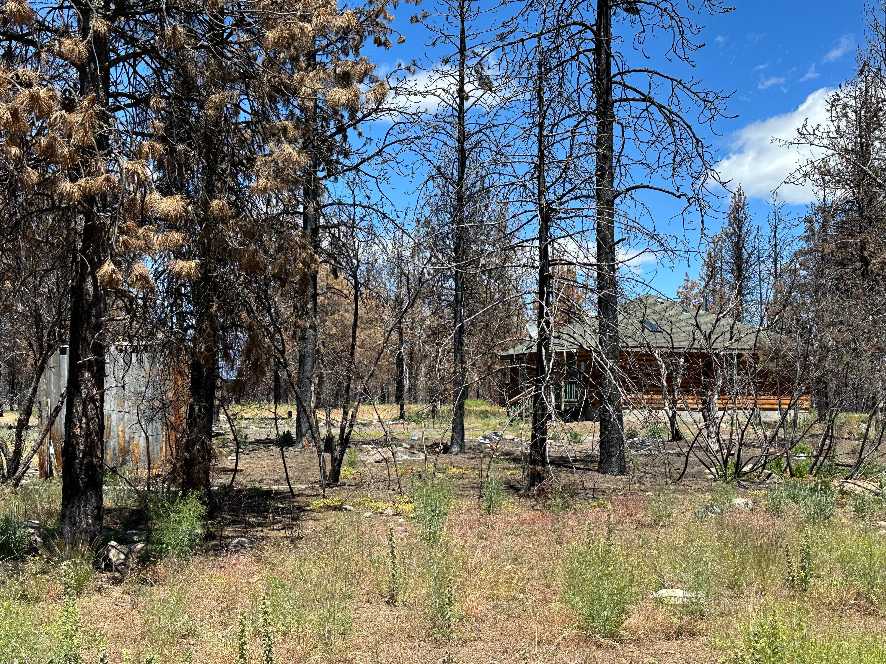 Klamath Falls Forest Estates -Hwy 66 Unit -Plat No. 1 - Residential