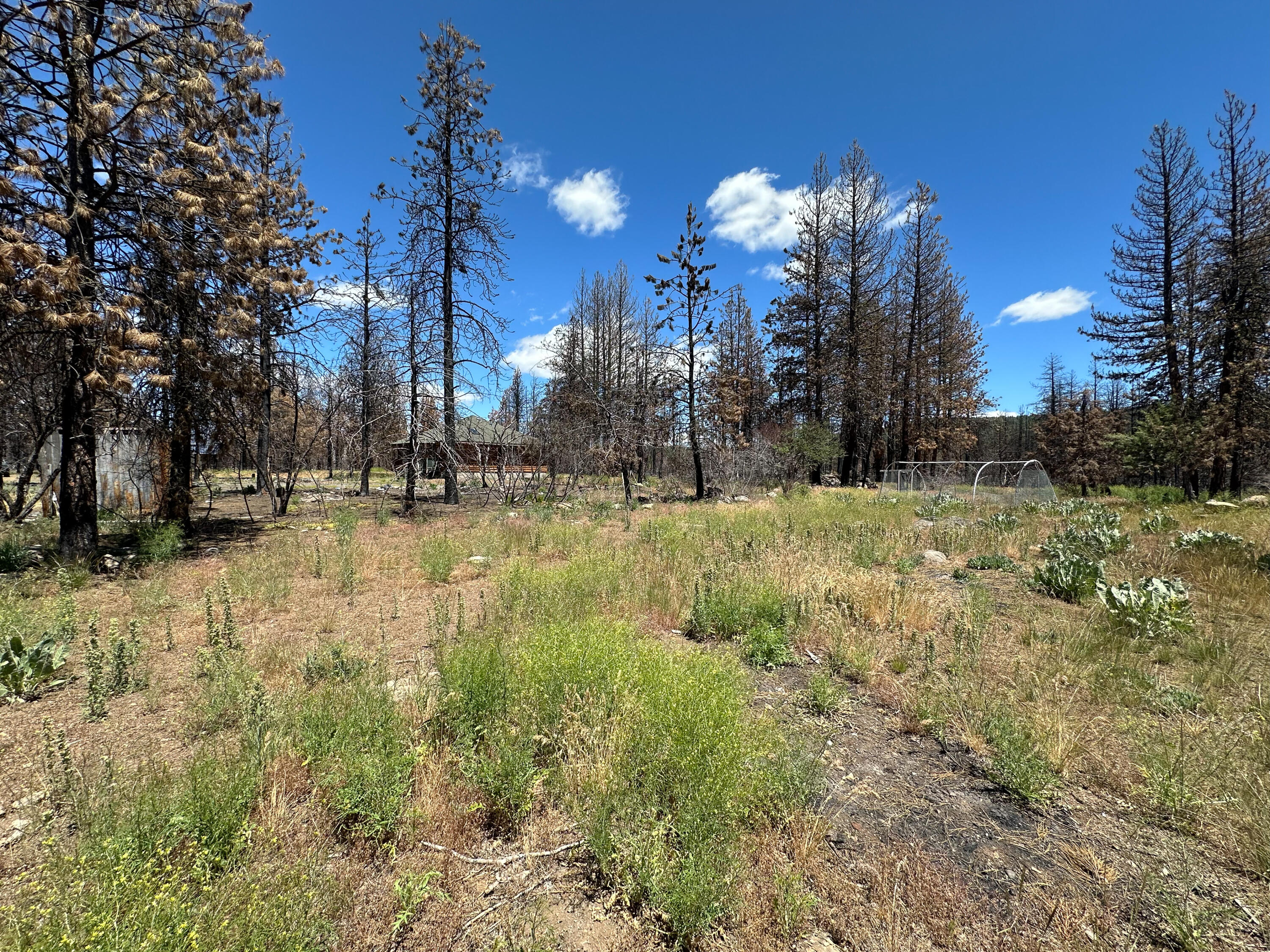 Klamath Falls Forest Estates -Hwy 66 Unit -Plat No. 1 - Residential