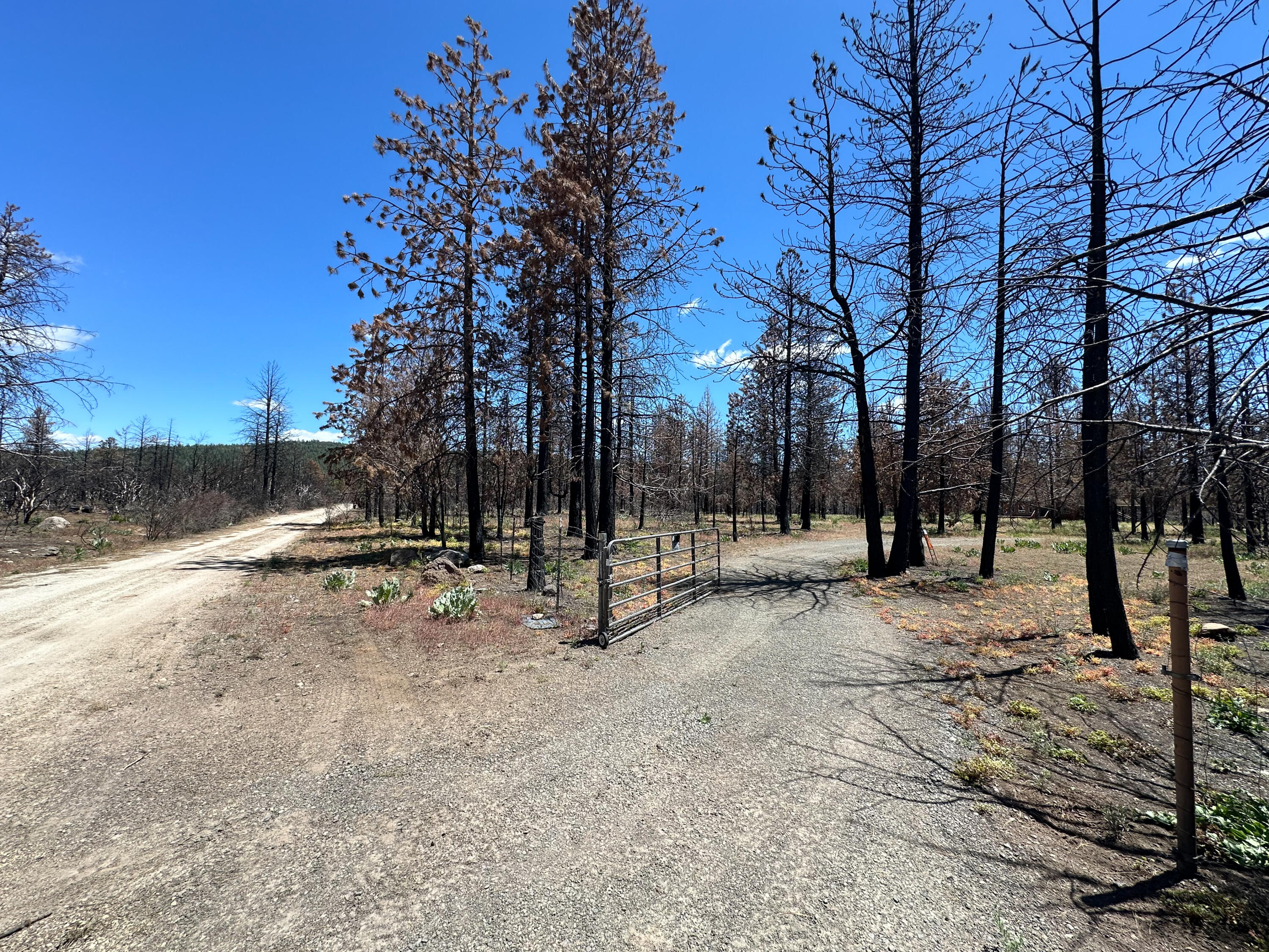 Klamath Falls Forest Estates -Hwy 66 Unit -Plat No. 1 - Residential