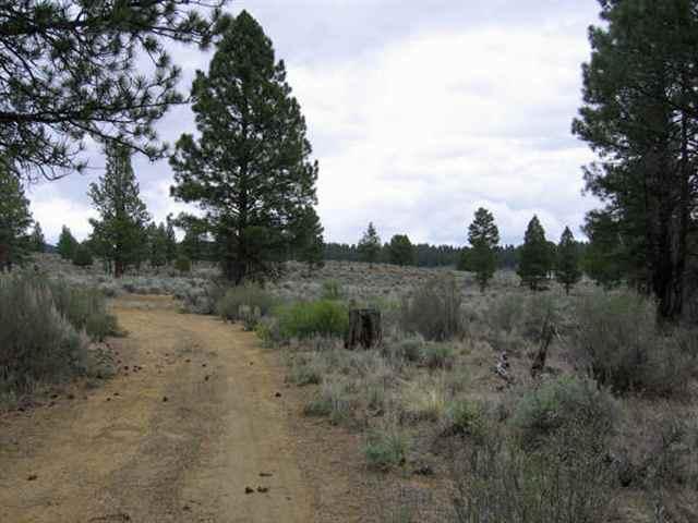Sprague River - Land