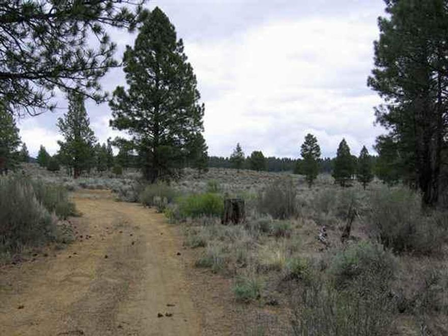 Remote, Level 20 Acres With A Scattering Of Juniper & Pine Trees Would Make A Great Recreational Property For Hunting/Fishing Or The Perfect Vacation Get-away! Great Price For 20 Acres Of Wilderness!