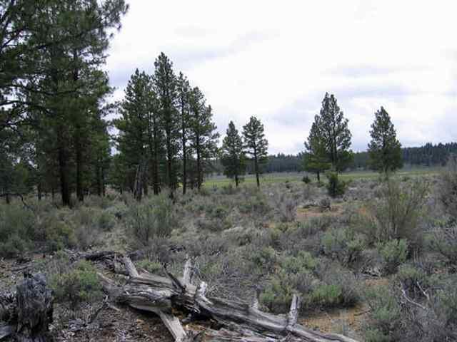 Sprague River - Land