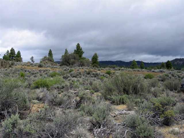 Sprague River - Land