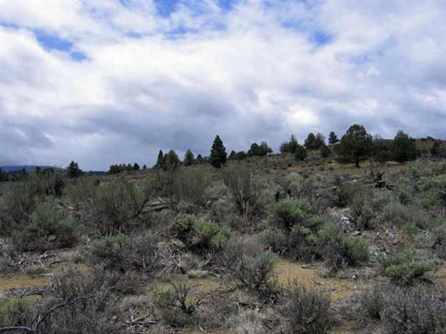 Sprague River - Land