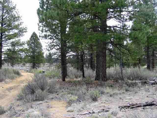 Sprague River - Land