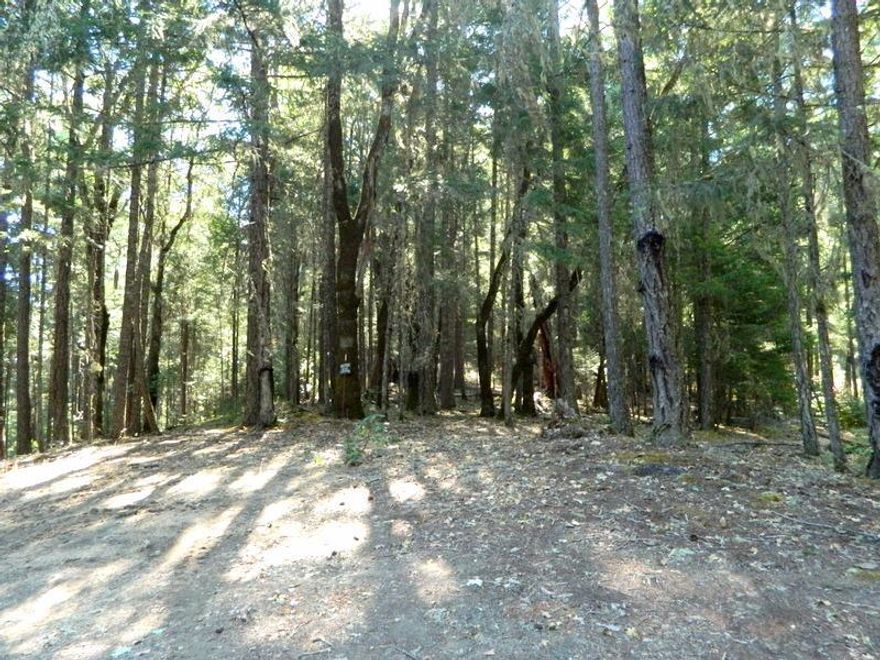 End of the road privacy. Build your home or place your manufactured home on this lovely wooded lot Evergreens and hardwoods, fir, oak and madrone, grace the acreage, zoned RR5. Could have a nice long range view with a little clearing. Well has been drilled. 1 Hour test 5gpm.