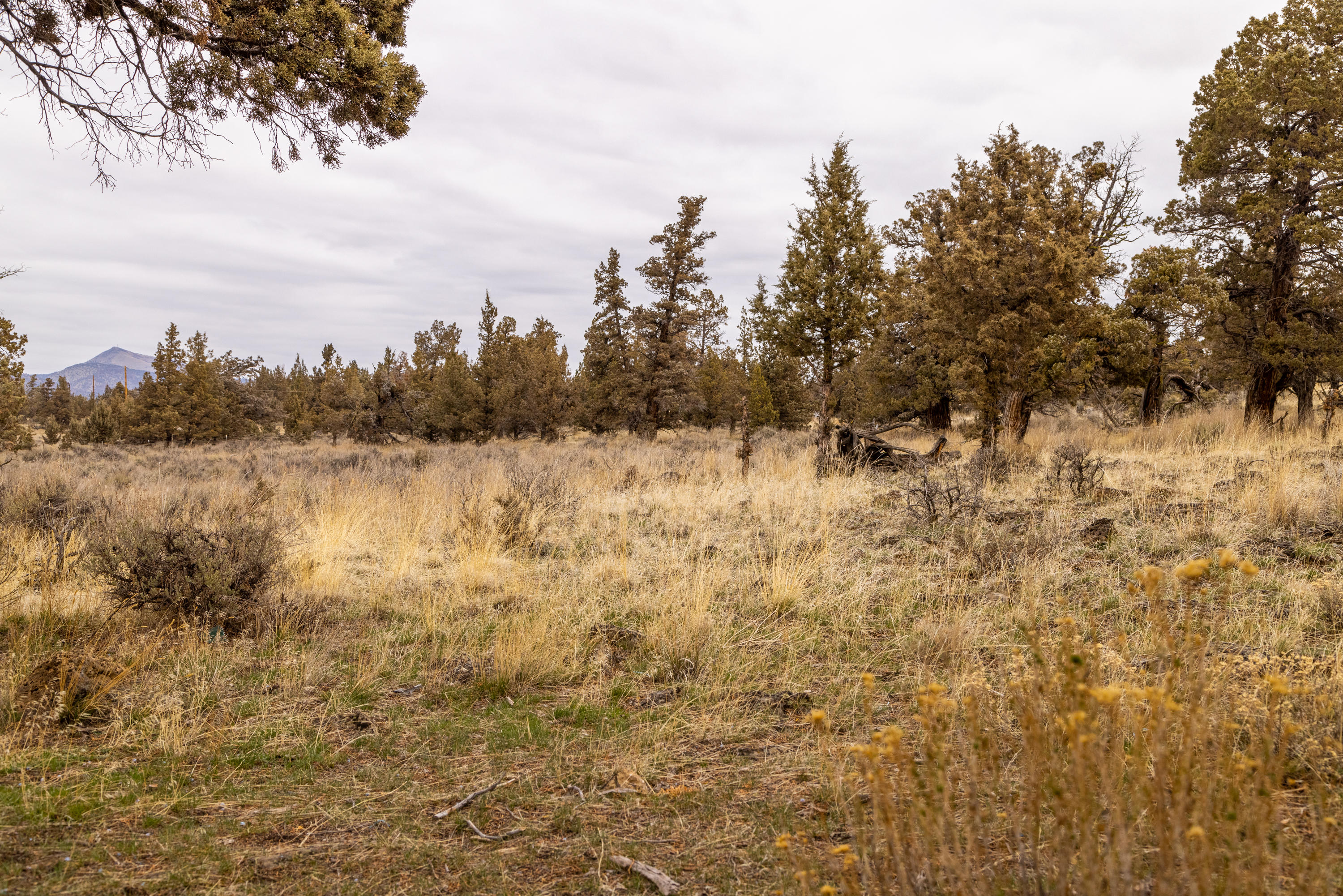 Lake Park Estate - Residential