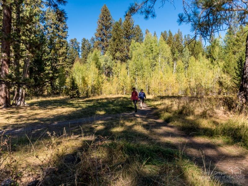 Shevlin Estates - Residential