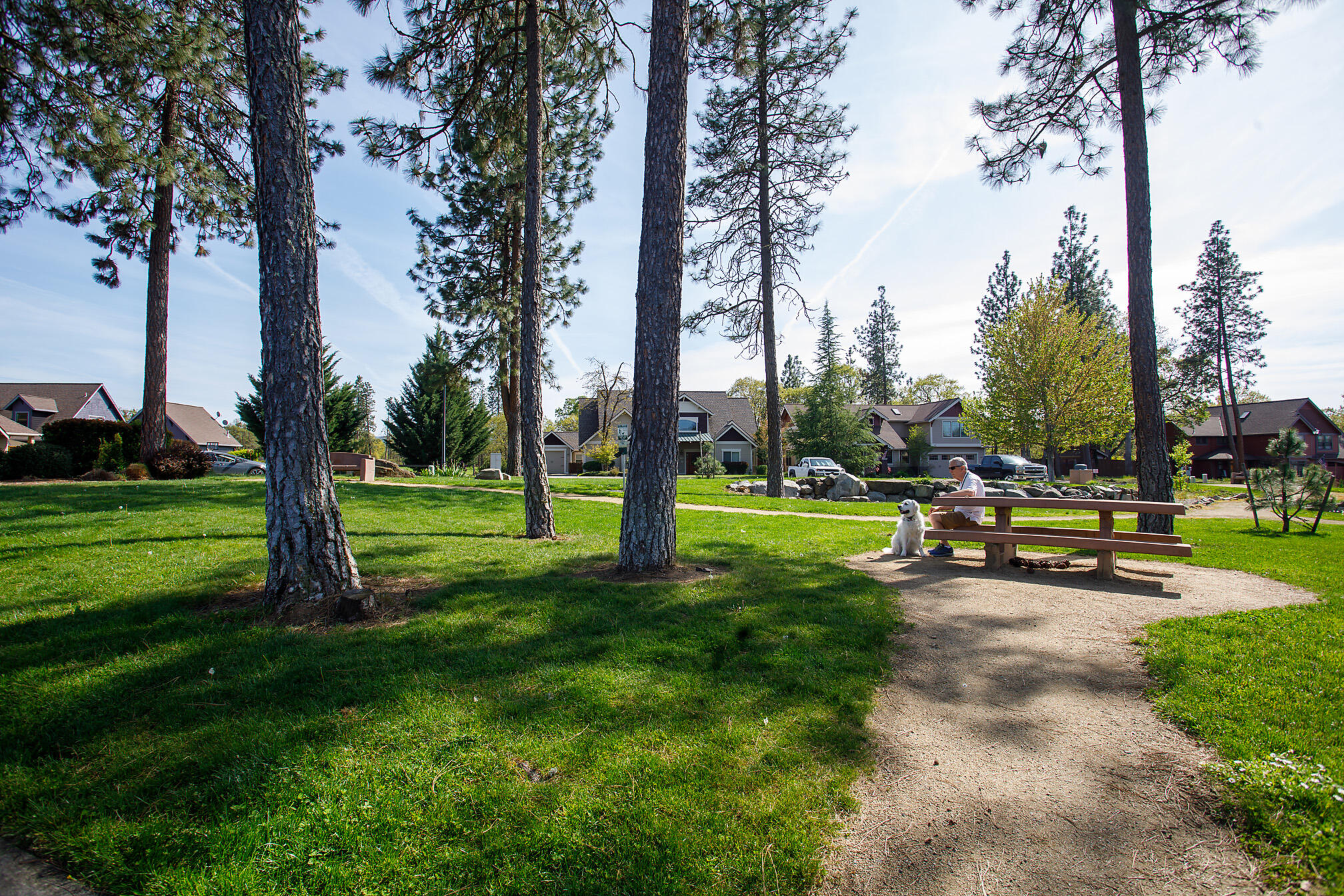 Echoes Of The Ponderosa Subdivision Phase 1 - Residential