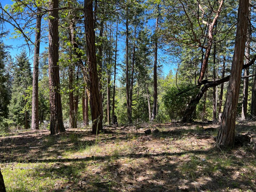 Enjoy country living on this lot near the Lost Creek Recreation Area. This lot is a great place to build your new home, cabin, or manufactured home. The land is completely treed and is level to gently sloping. A second lot is for sale adjacent to this lot. (TL347 Flounce Rock Rd) Buy both lots for a total of 1 acre. Water is provided to the edge of the lot via the Evergreen Meadows Community Water System. Power is along the edge of the lot, but will need to be installed by Pacific Power. A septic system will need to be installed. Located a few minutes from public access to Lost Creek Lake and BLM land. Lost Creek Lake is a popular place for boatings sports, camping and fishing. Just minutes from the Rogue River National Forest system where you can enjoy a plethora of outdoor activities including camping, hiking, hunting, world class trout fishing on the Upper Rogue, viewing waterfalls, riding OHVs, and much more! Owner carry options available to qualified buyers!