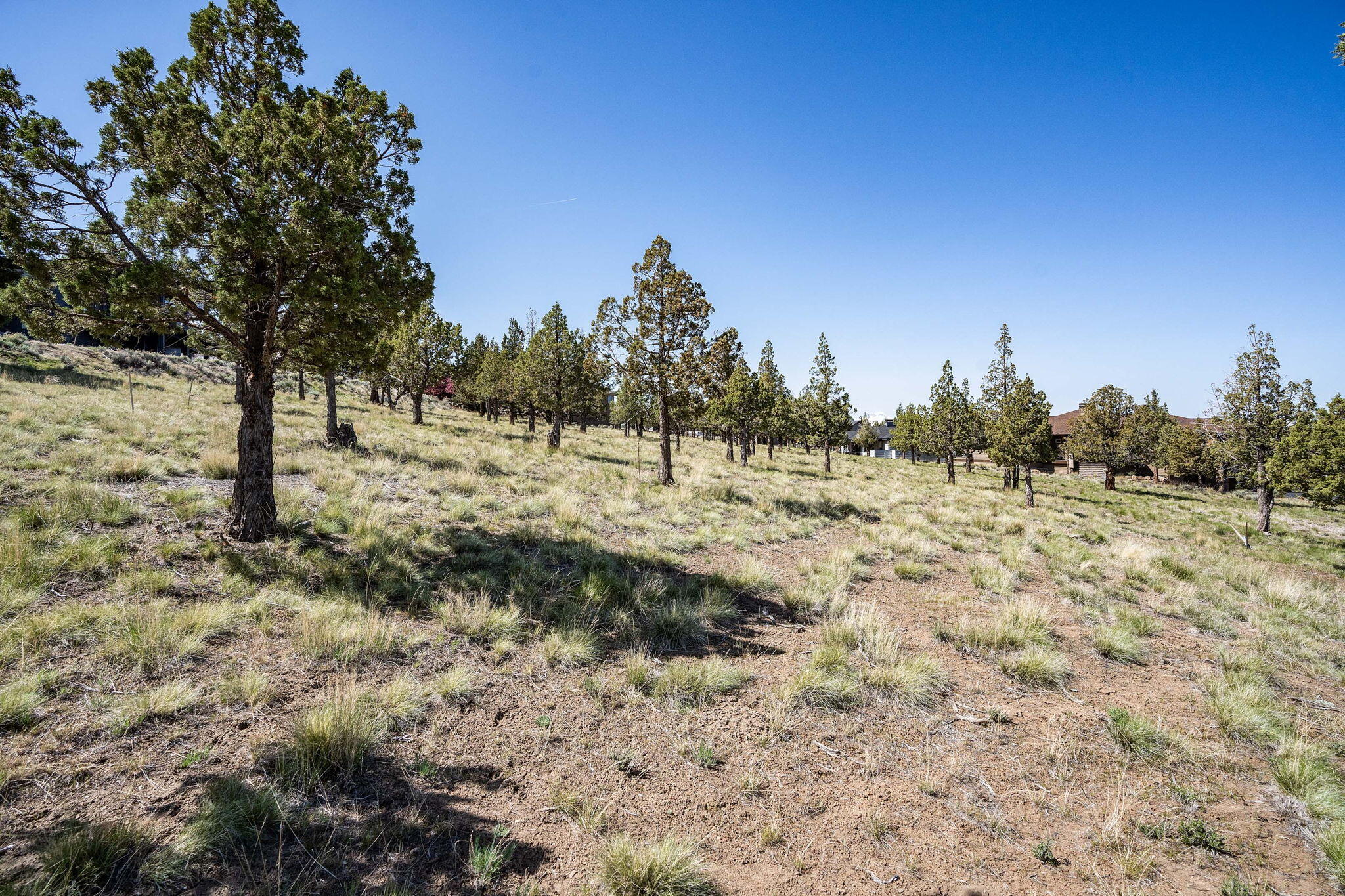 Ridge At Eagle Crest - Land