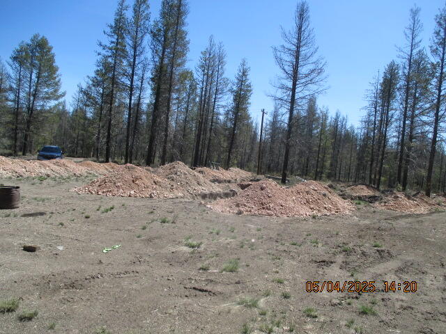 Mt. Scott Meadow - Land