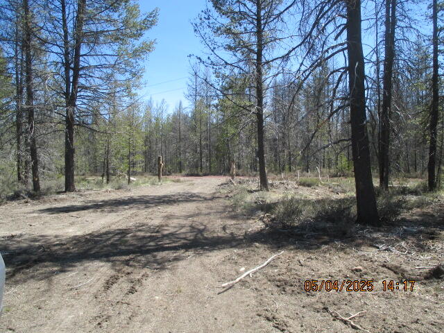 Mt. Scott Meadow - Land