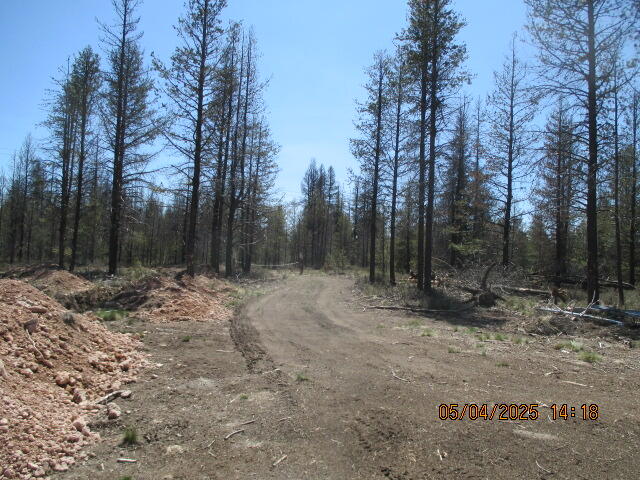 Mt. Scott Meadow - Land