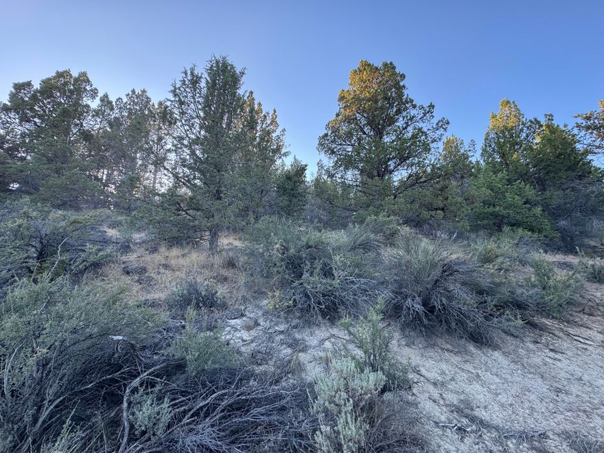 1.93 Acres | Peaceful Residential Lot in Quaint Sprague River, OR. Escape to the tranquil beauty of the Pacific Northwest with this 1.93-acre residential lot located in the quiet town of Sprague River. Suited for homesteading, off-grid living or private recreational base, this property offers the space & freedom to live life your way. Surrounded by nature with no bordering neighbors, this sloped parcel provides a great setting for those seeking peace, privacy & a deeper connection with the land. Featuring native trees + plants & packed with abundant wildlife and bird activity. Just moments away is the Sprague River, where you can enjoy fishing, swimming & kayaking. Whether you're planning a permanent home, seasonal escape or weekend retreat, this lot delivers a rare combination of seclusion + accessibility—only 45 minutes from Klamath Falls & everyday amenities. No HOA. No stress. Just clean air, big skies, and boundless potential.