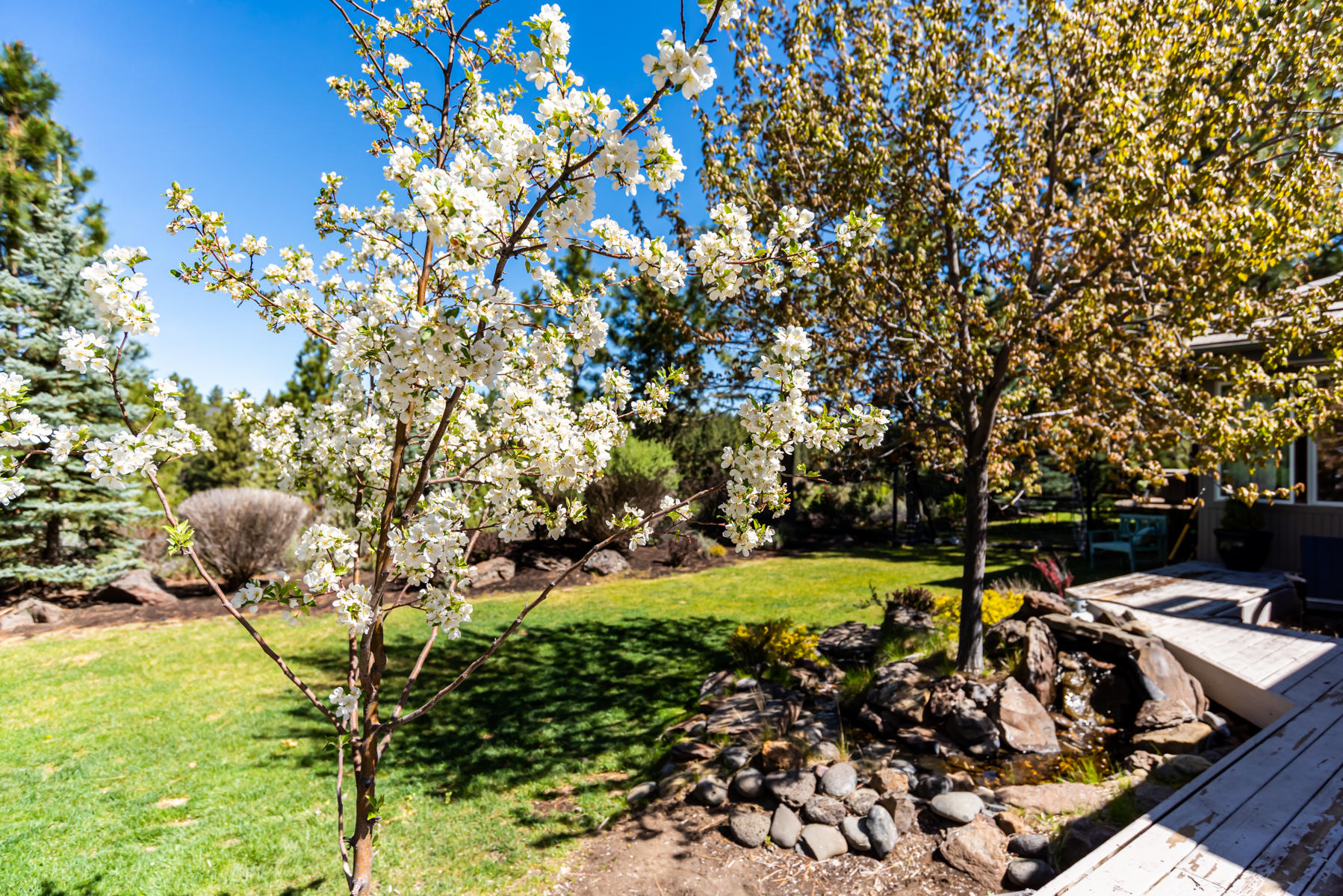 Sunrise Village - Residential