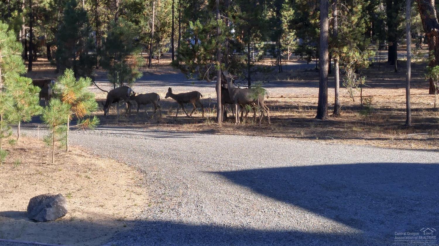 Wagon Trail Acreages - Residential