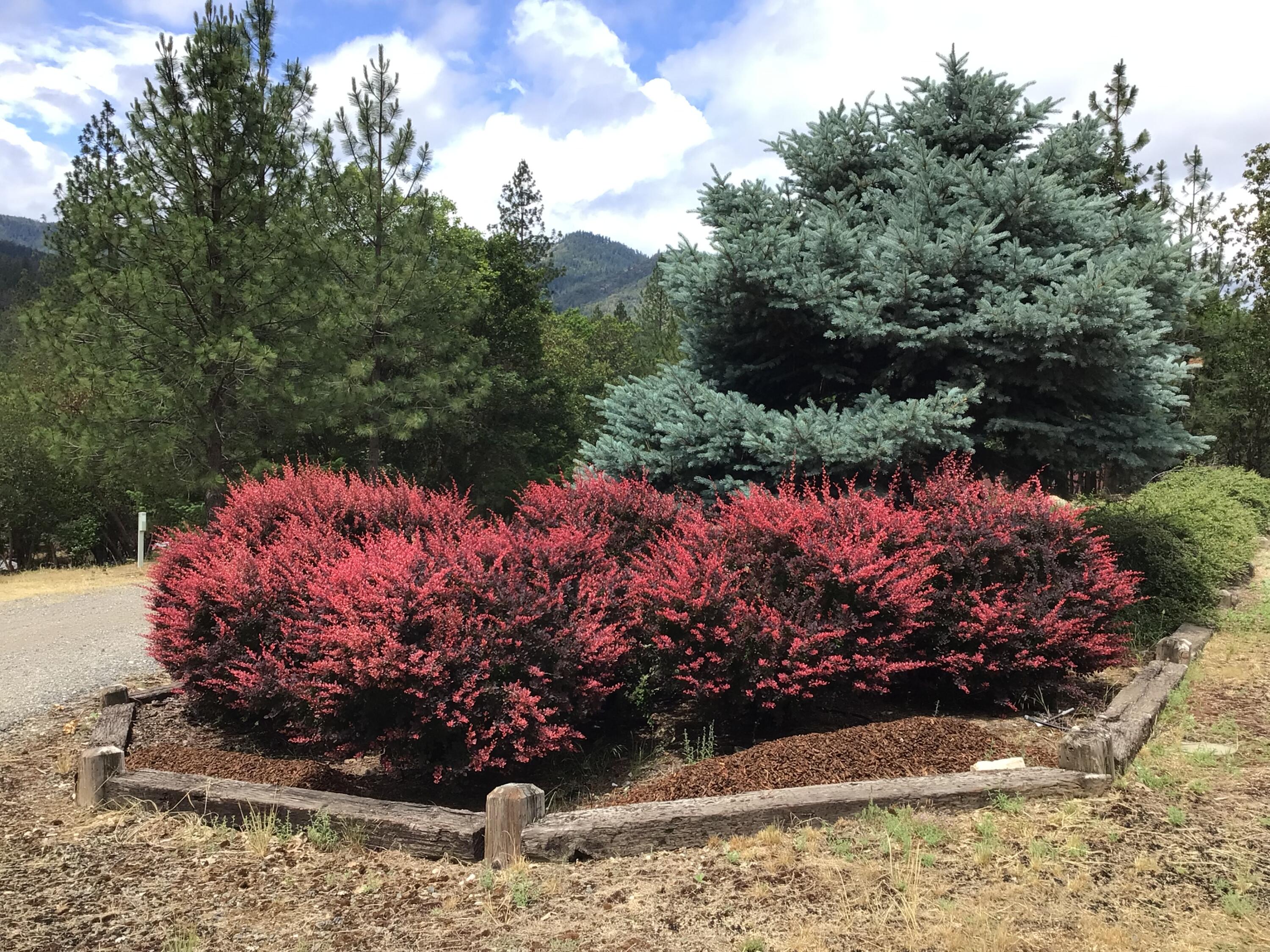 Foots Creek Acres - Residential