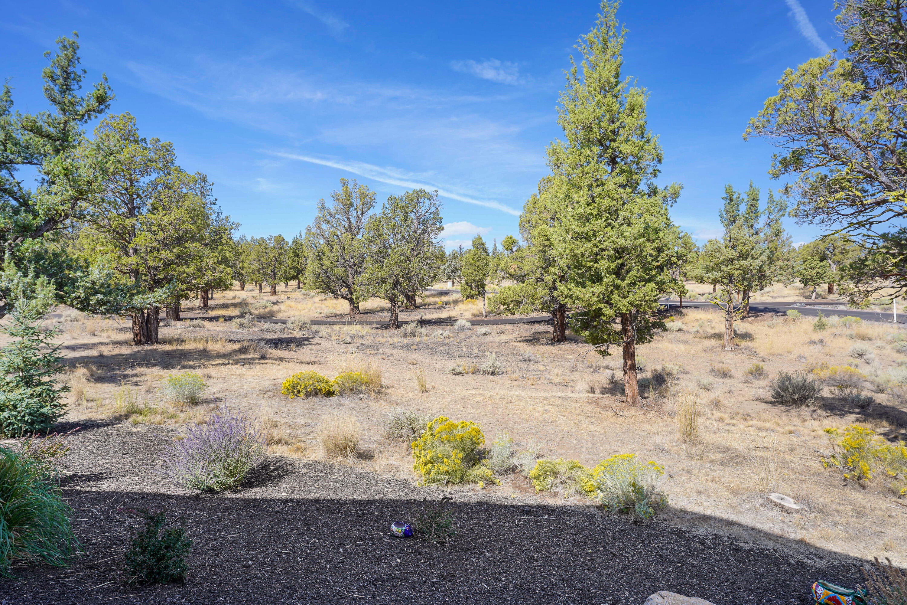 Ridge At Eagle Crest - Residential