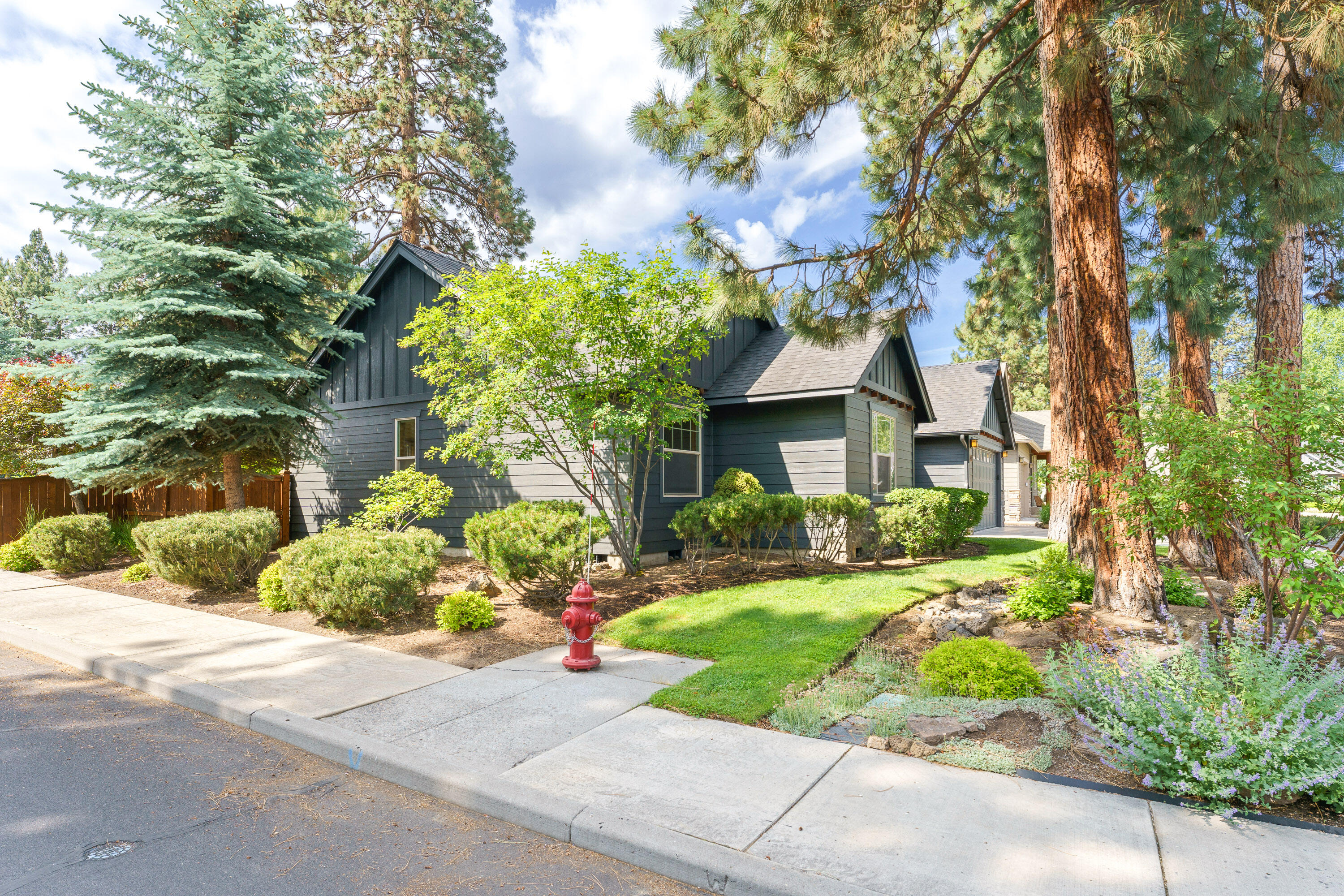 Mountain Pine - Residential