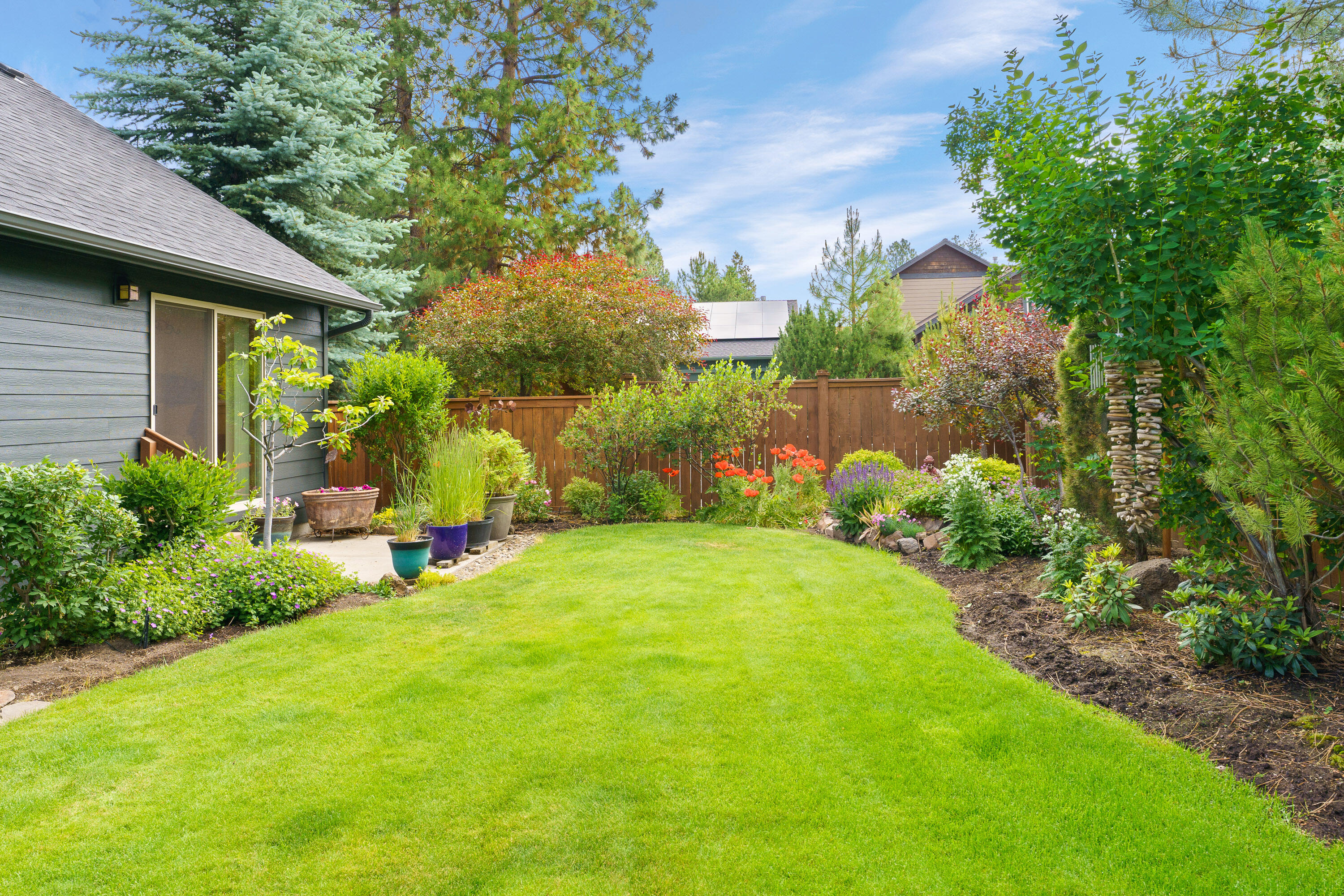 Mountain Pine - Residential