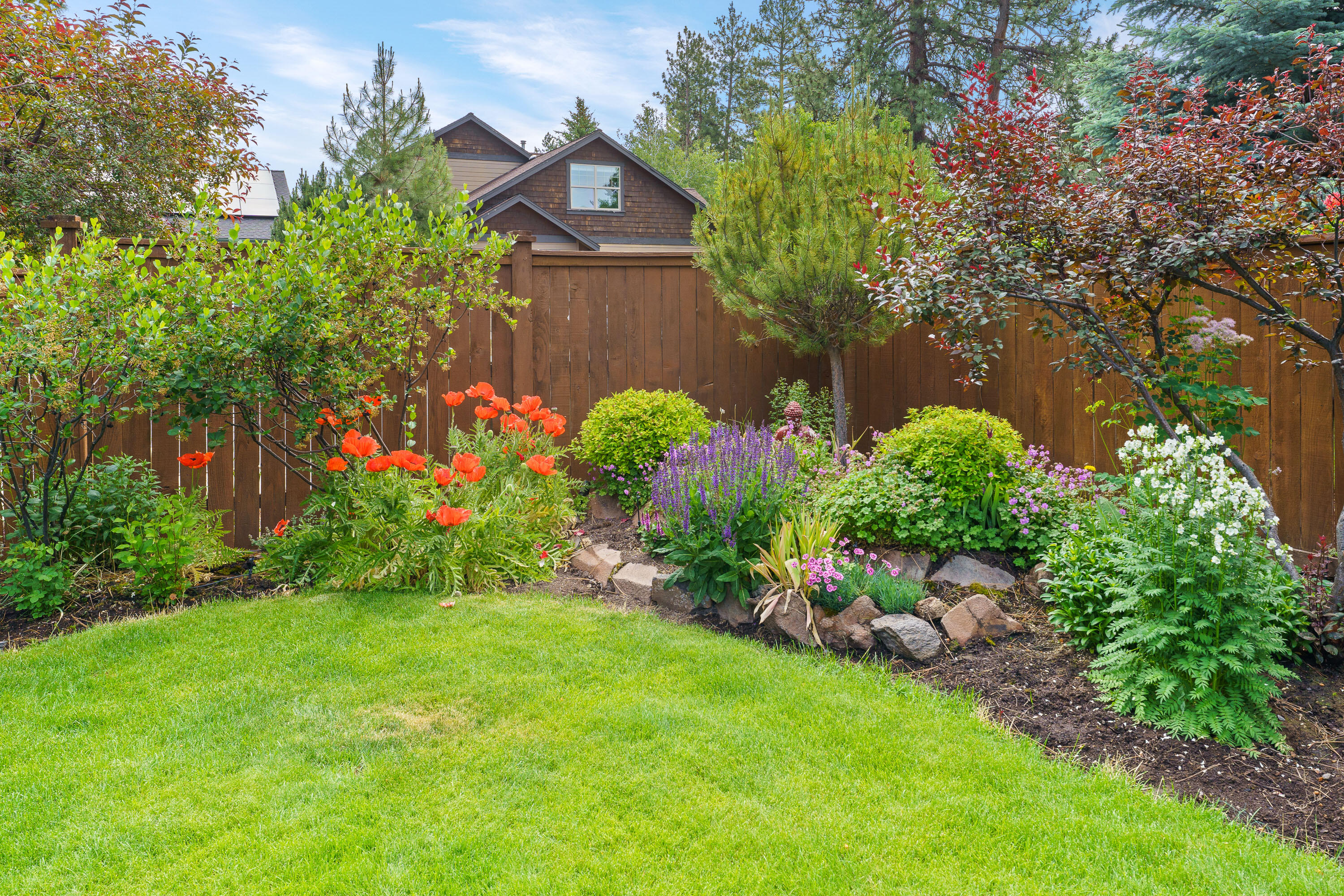 Mountain Pine - Residential