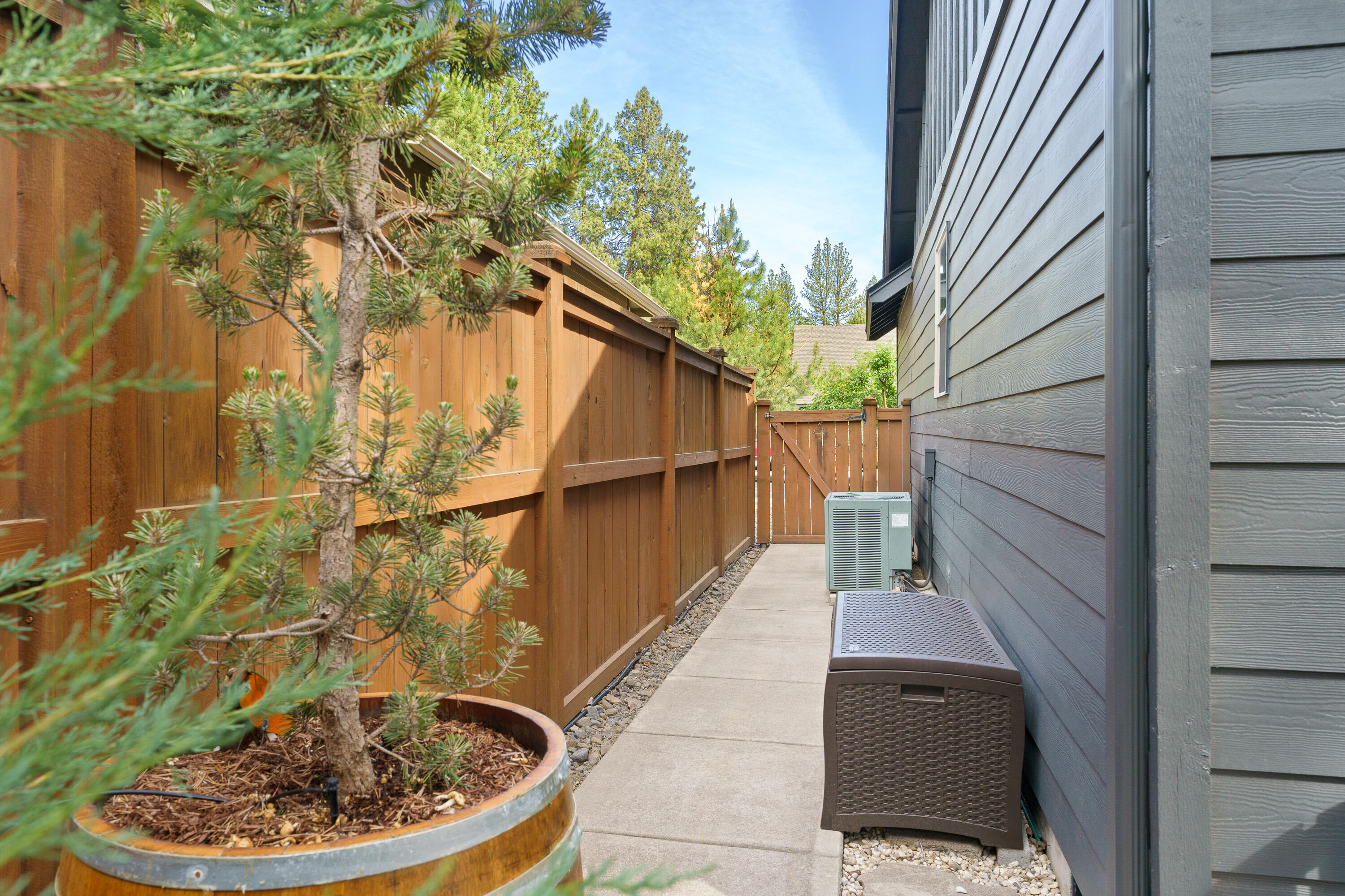 Mountain Pine - Residential