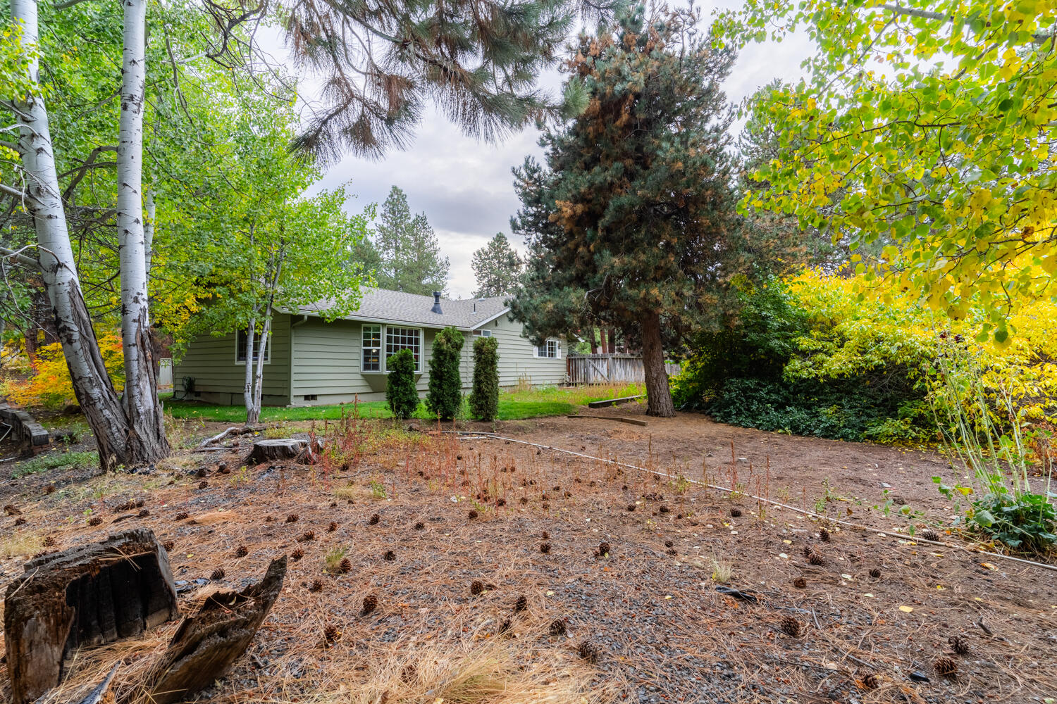 Homestead - Residential