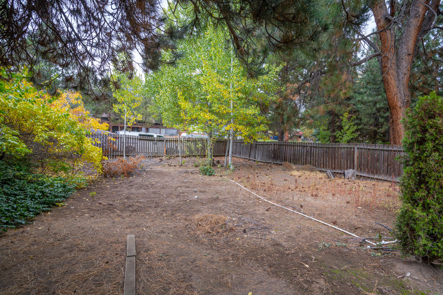 Homestead - Residential