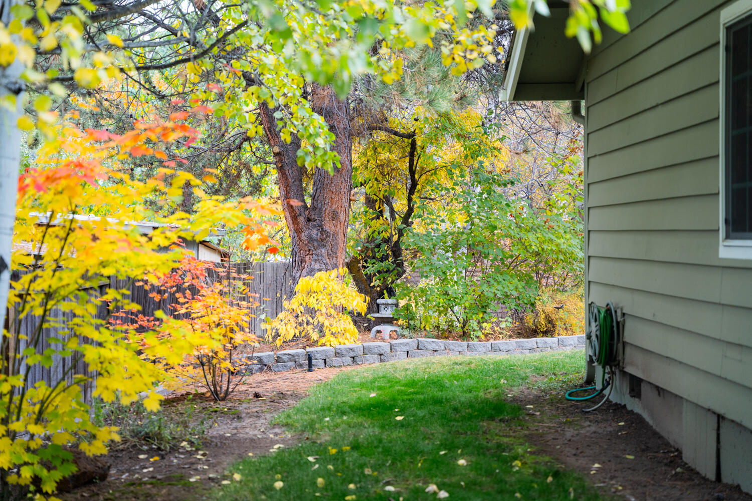 Homestead - Residential