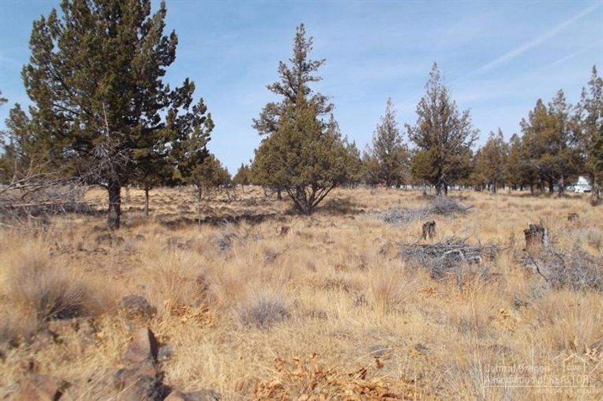 Vacation property OR build for full-time living in 3 Rivers on Lake Billy Chinook. Very rare---totally virgin land that you can make your own dream not alter someone else's. 5.2 acres with beautiful Mt Jefferson views from the North end of property. Use for camping, build a cabin, or full-time residence---the choice is yours.