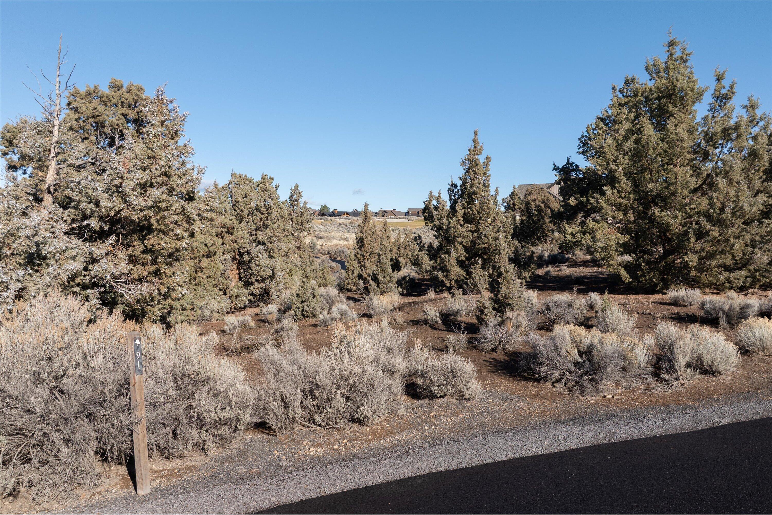 SW Caballo Court Homesite 91