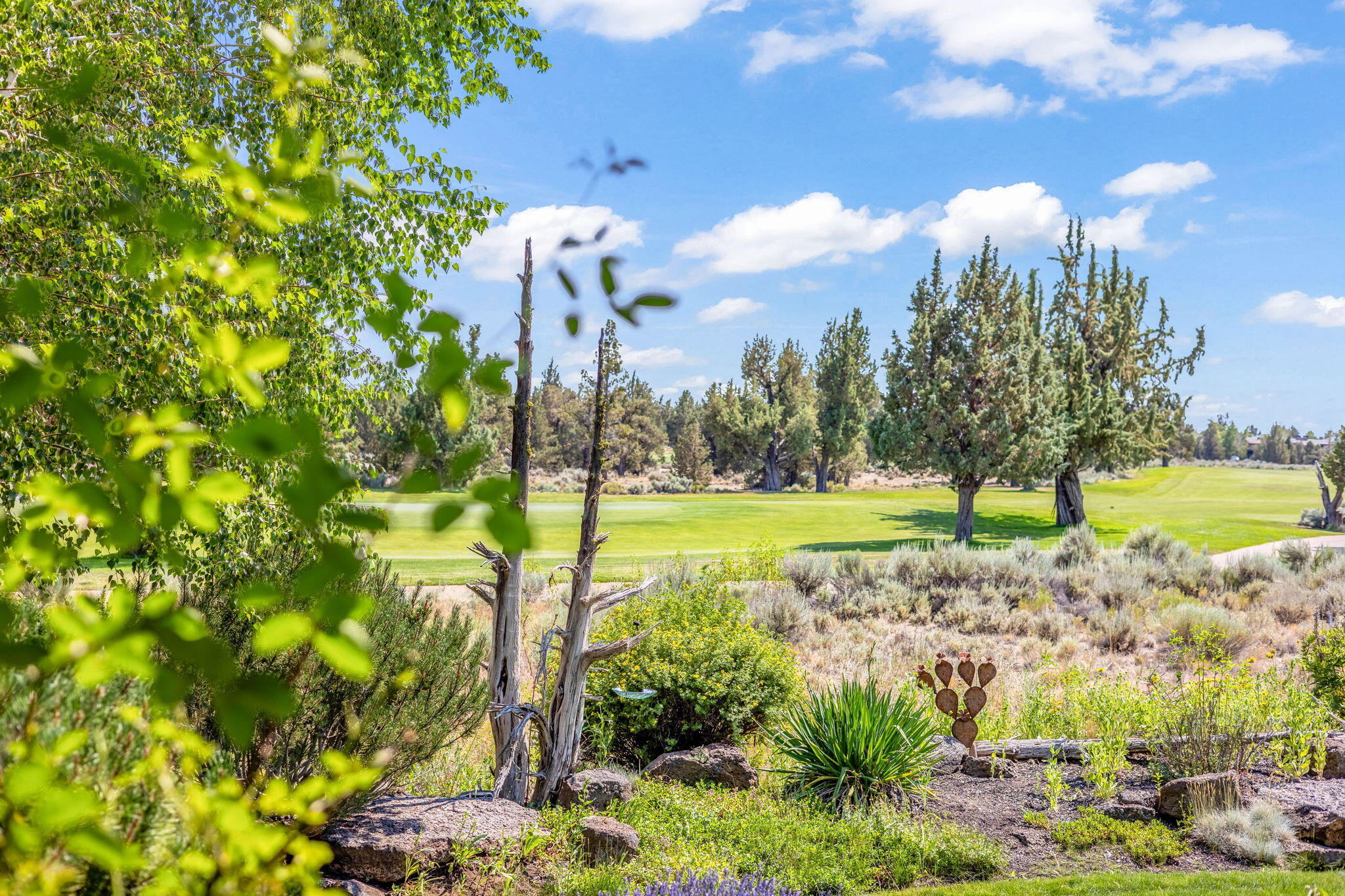 Pronghorn - Residential