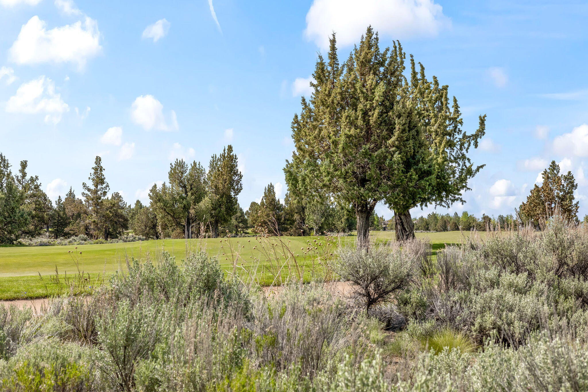 Pronghorn - Residential