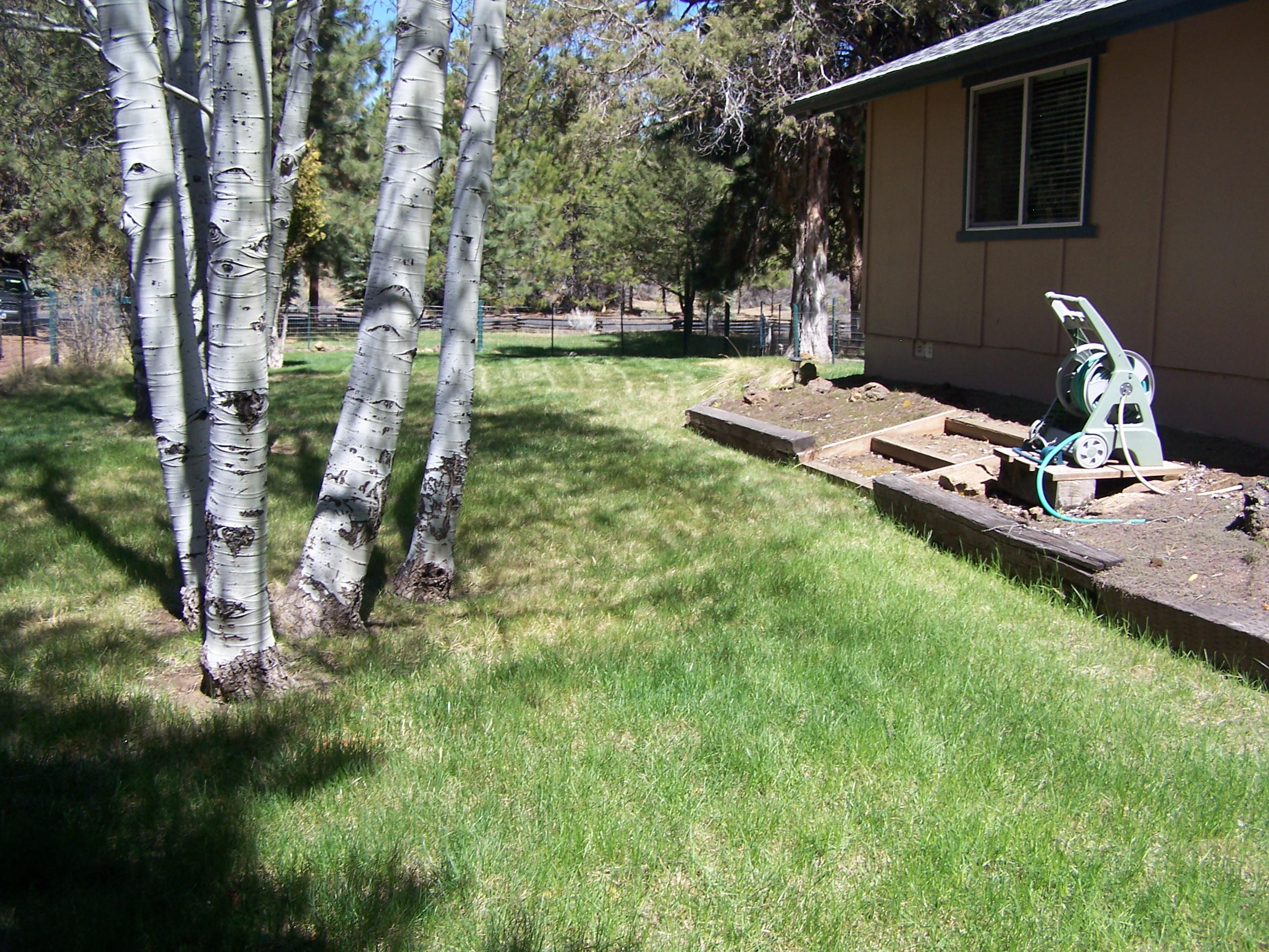 Kings Forest - Residential