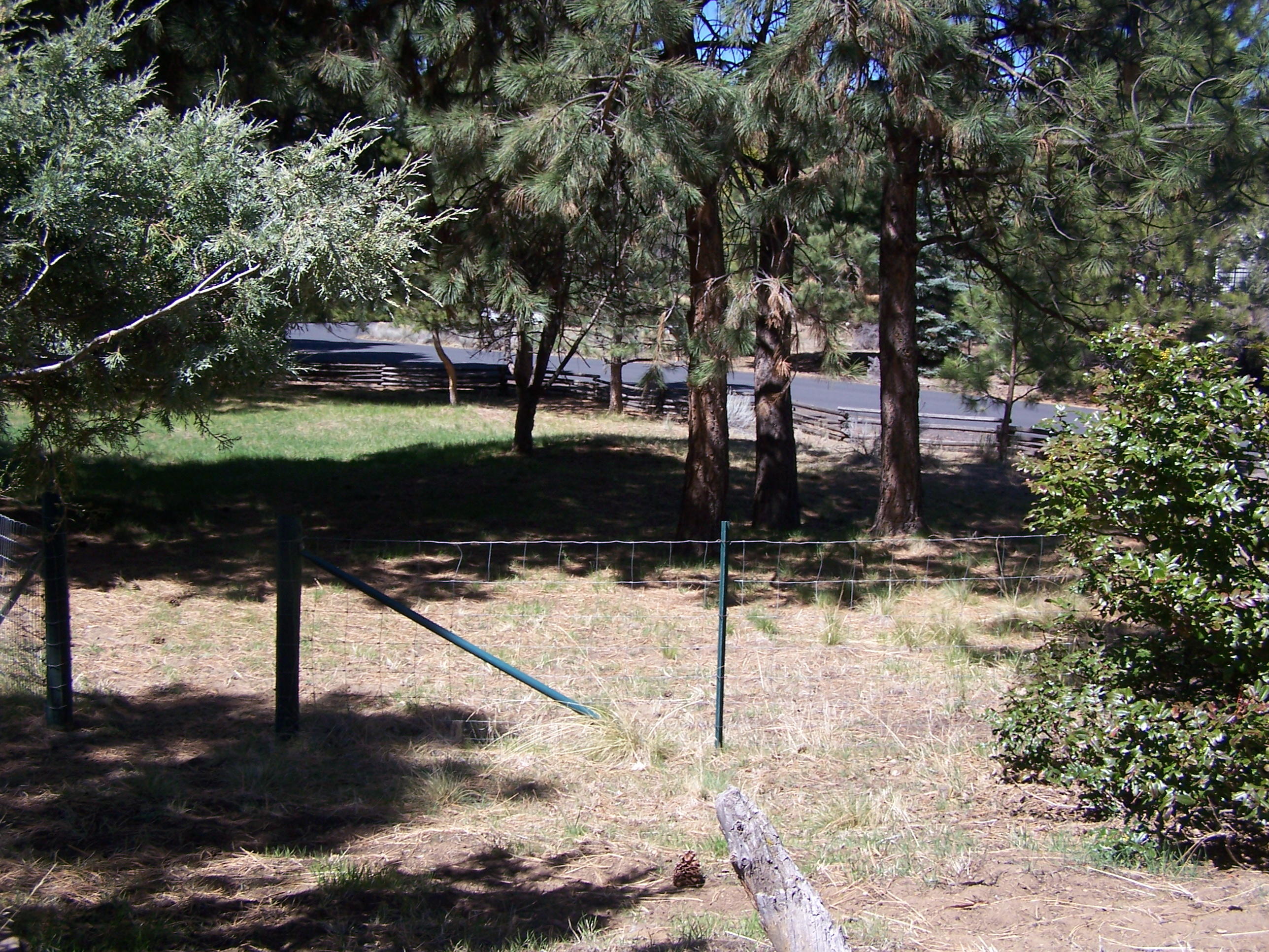 Kings Forest - Residential