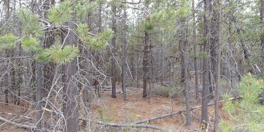 Nearly 10-acre, treed lot w/previously approved Sand filter system. Lot is deep, backs to presently zoned Forest land in nice neighborhood on private road off 6th St. Close to downtown shops & restaurants but have privacy & great location to build your dream home & access to Cascade Lakes Region & Paulina Range lakes, pristine rivers, Pringle Falls, State Parks, Outback Scenic Hwy & Mt. Bachelor for year-round recreation/trails. Fishing & hunting mecca! Presently no HOAs or fussy CCRs!