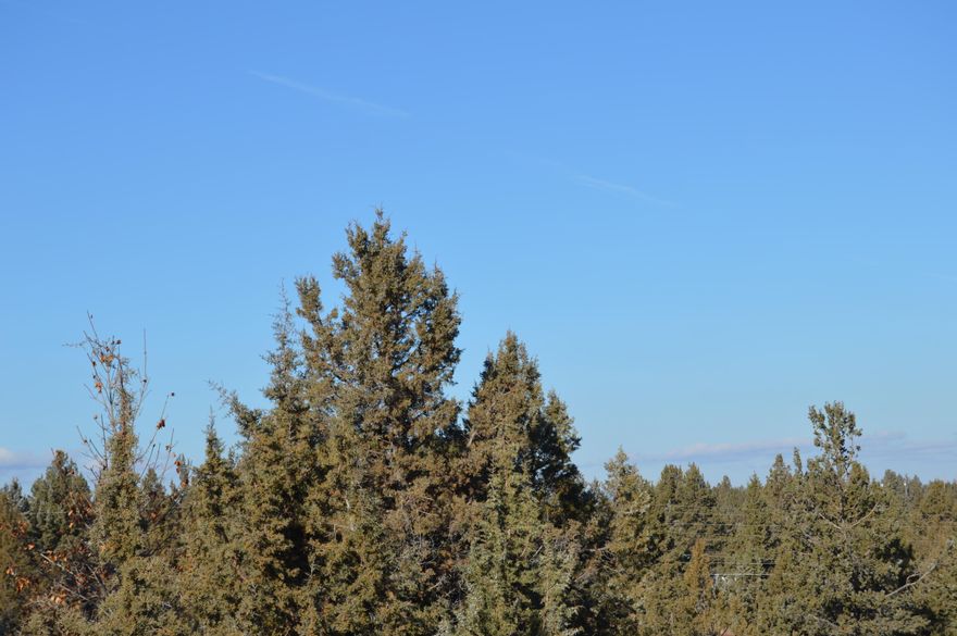 This gently sloped one-acre lot adjoins a community tract at the rear of the property.  Services are available at the road.  A view of Smith Rocks and surrounding buttes can be enjoyed from a beautiful building-site, not far into the property.  Build a site-built home or order a lovely manufactured home to your specifications.  Beautiful, rural setting, where wildlife abound and there is a great sense of community.  Enjoy golf, tennis, pickleball, swimming, horseback riding, river fishing and hiking on site!  Close to lake fishing, skiing and boating, as well as winter snow sports.  Enjoy a community where relationships are made!  Agent owned.