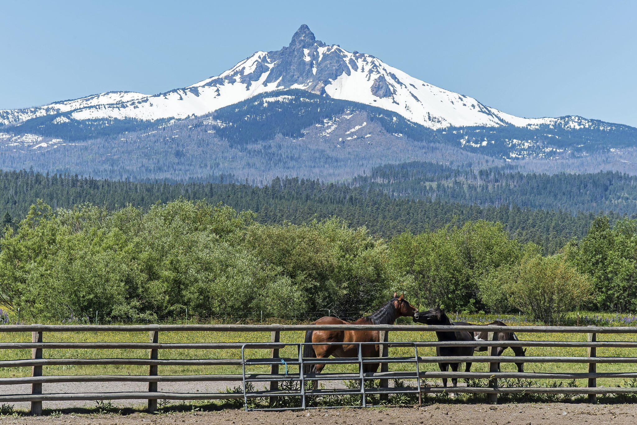 Glaze Meadow Homesite Section - Residential