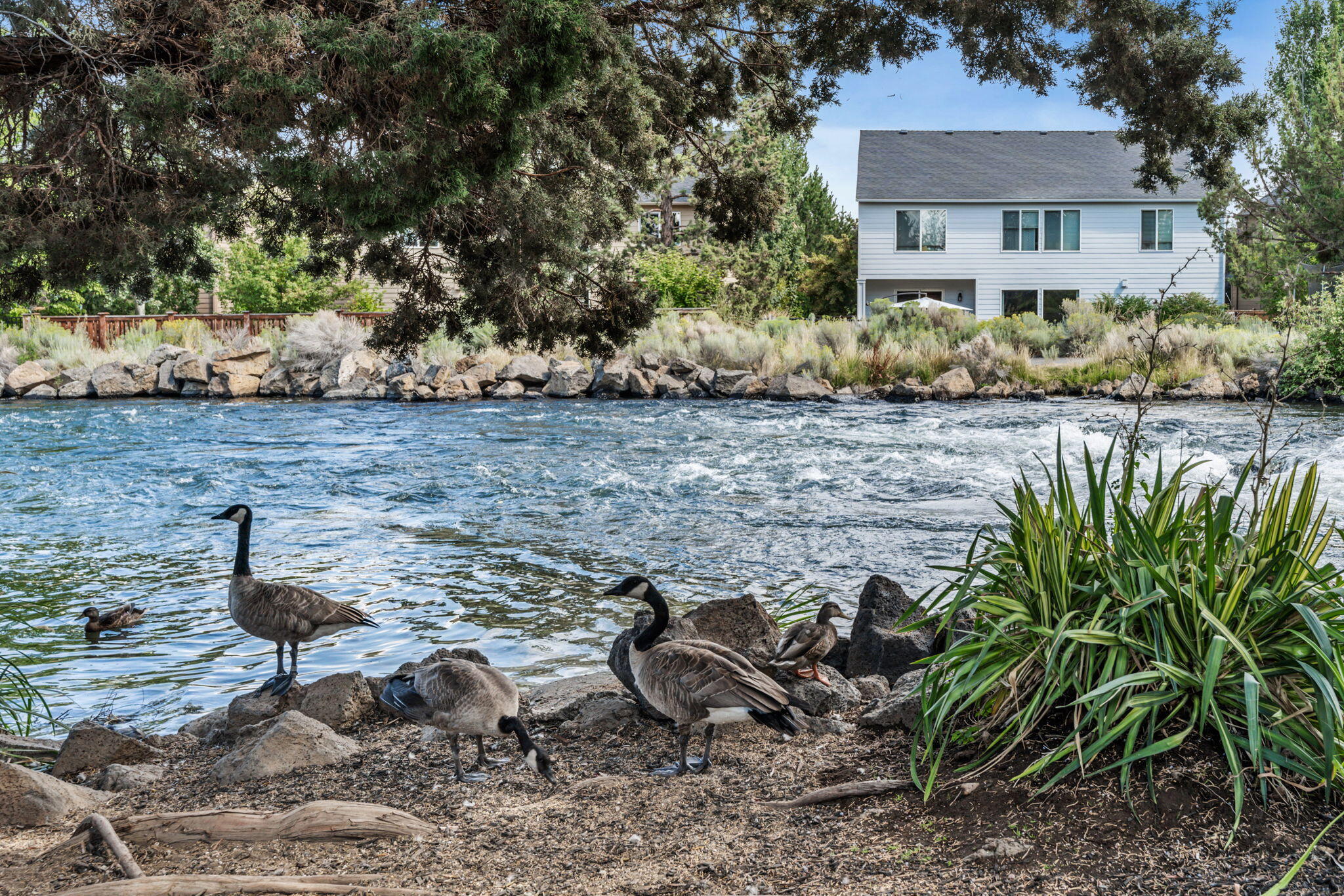 Terrango Crossings - Residential