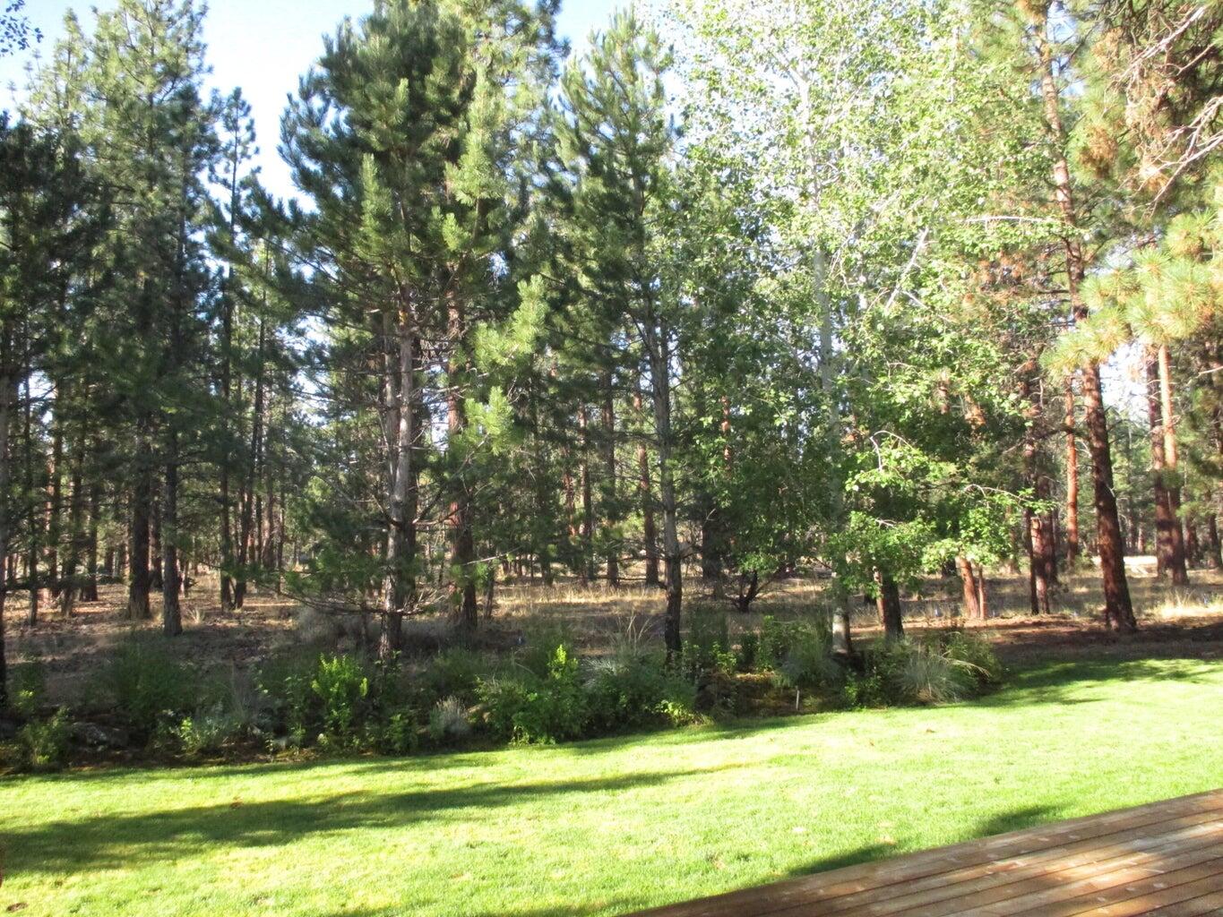 Coyote Springs - Residential