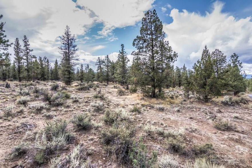 Positioned conveniently in between Bend and Sisters, you will find this private 5.54 acre parcel. Towering ponderosa pine trees and old growth juniper trees offer seclusion and highlight a wilderness setting. You will vlaue having plenty of room to build a shop, stable, store recreational toys/equipment, RV's, and also has room for livestock and pets. Enjoy filtered Cascade mountain views, and the convenience of being in the Sisters School District, and close to mountain trails, lakes, and fine dining.