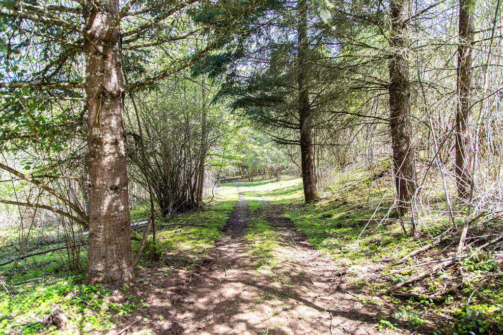 Linnhaven Orchard Company - Residential