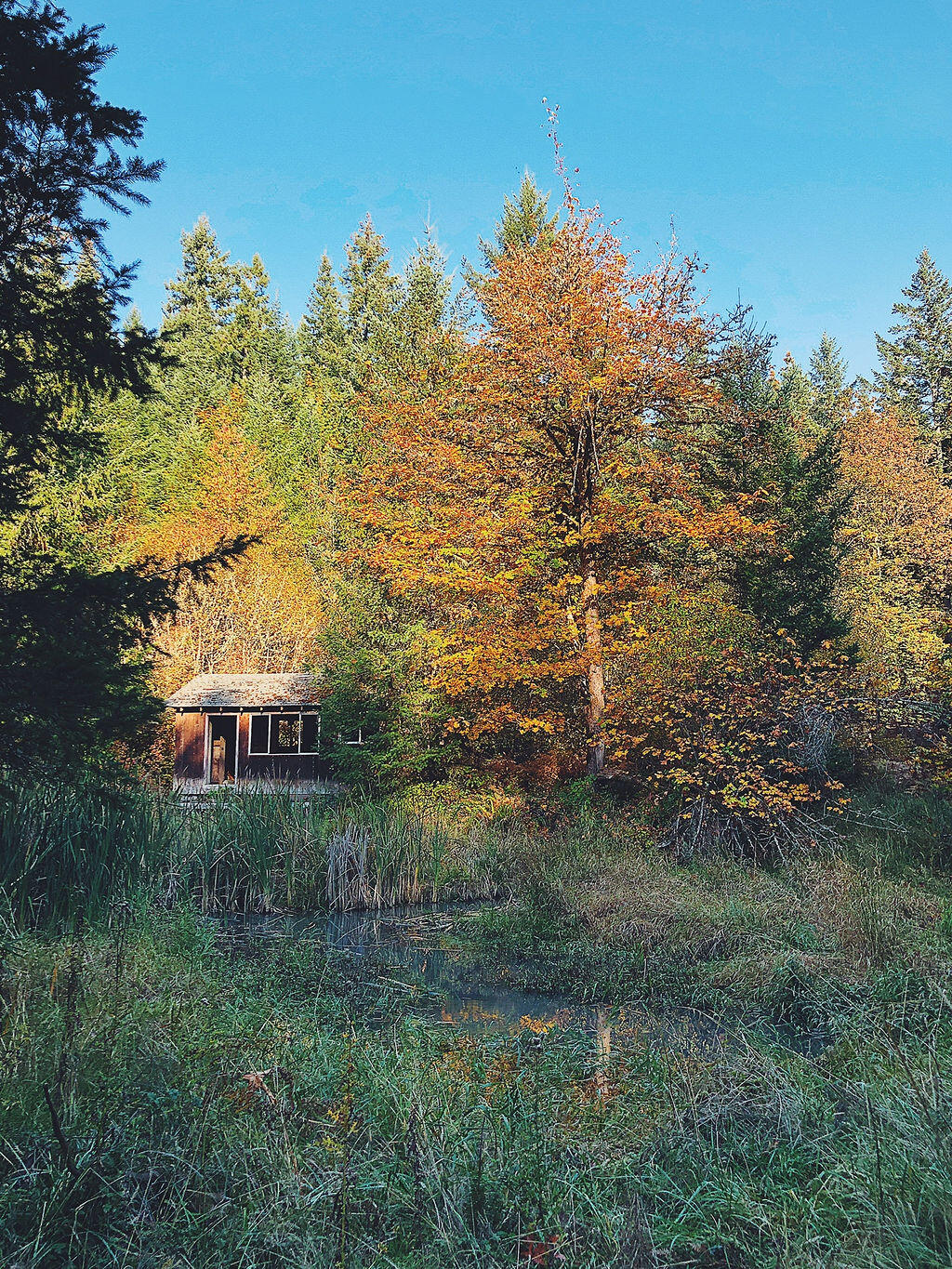 Linnhaven Orchard Company - Residential