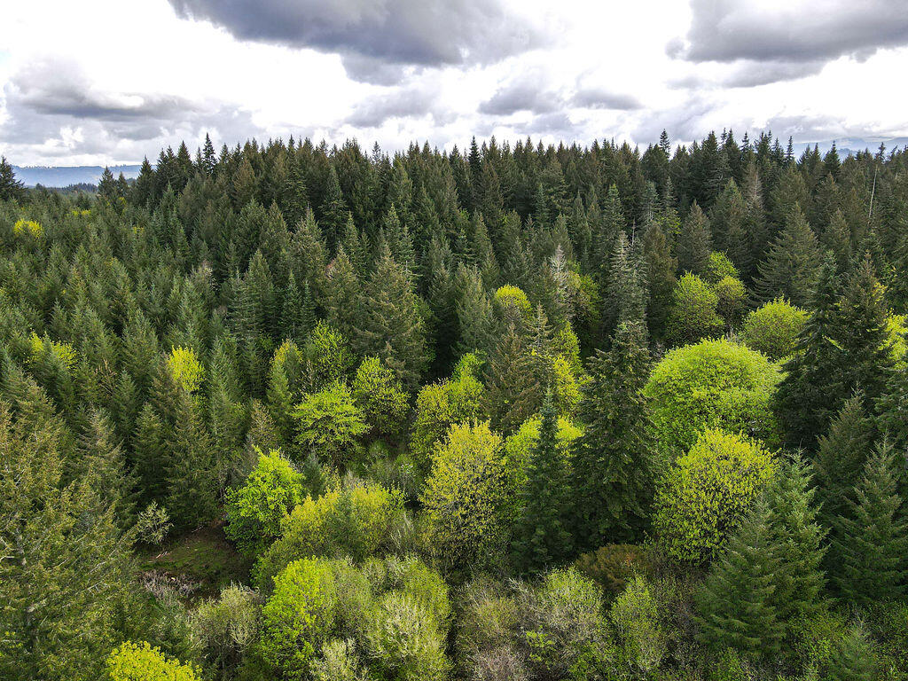 Linnhaven Orchard Company - Residential