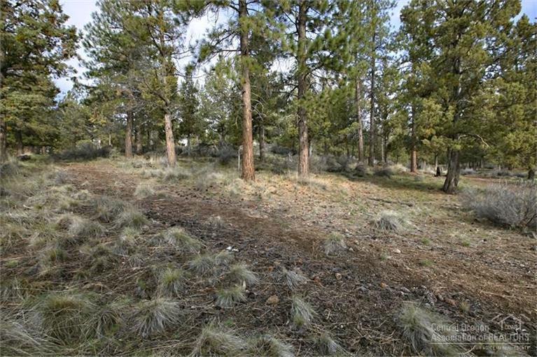 Westside Pines - Residential