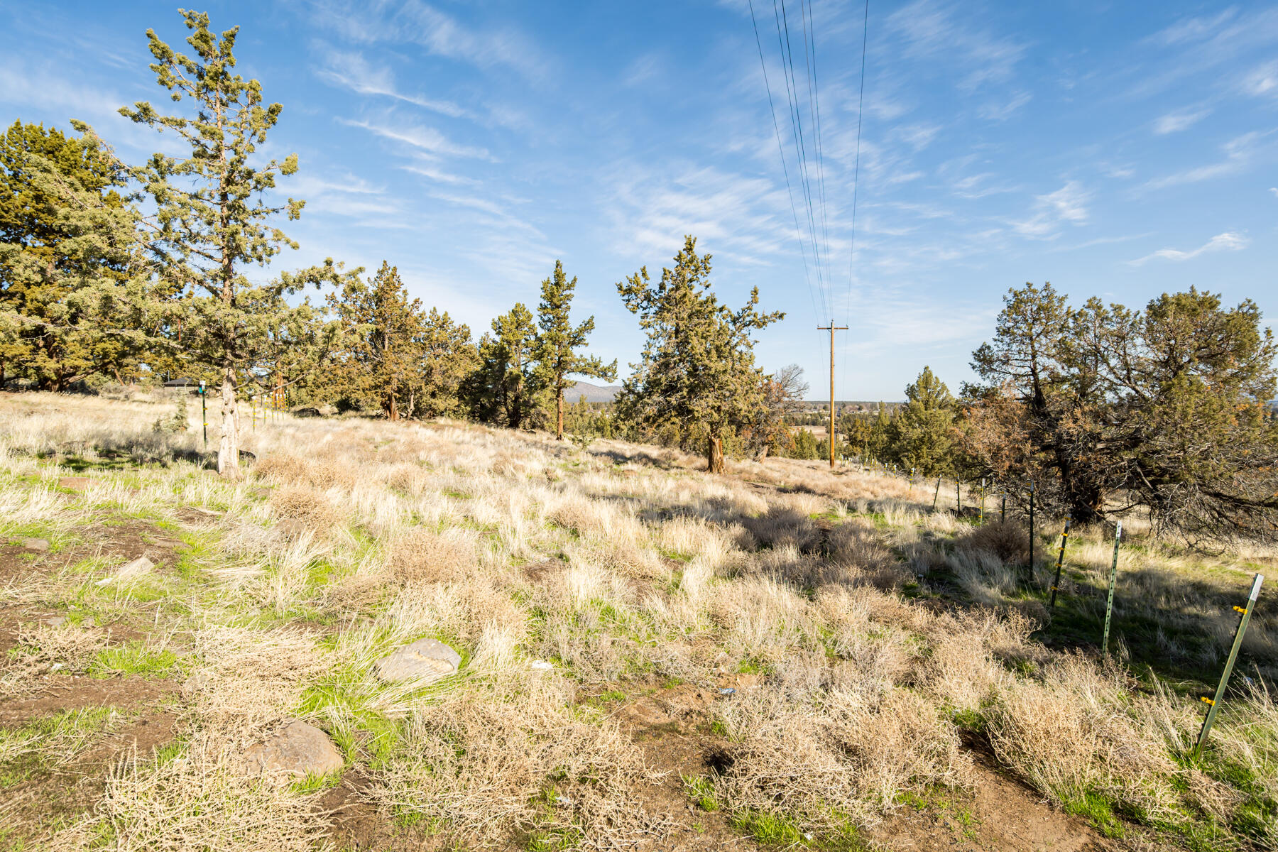 Whispering Pines - Residential