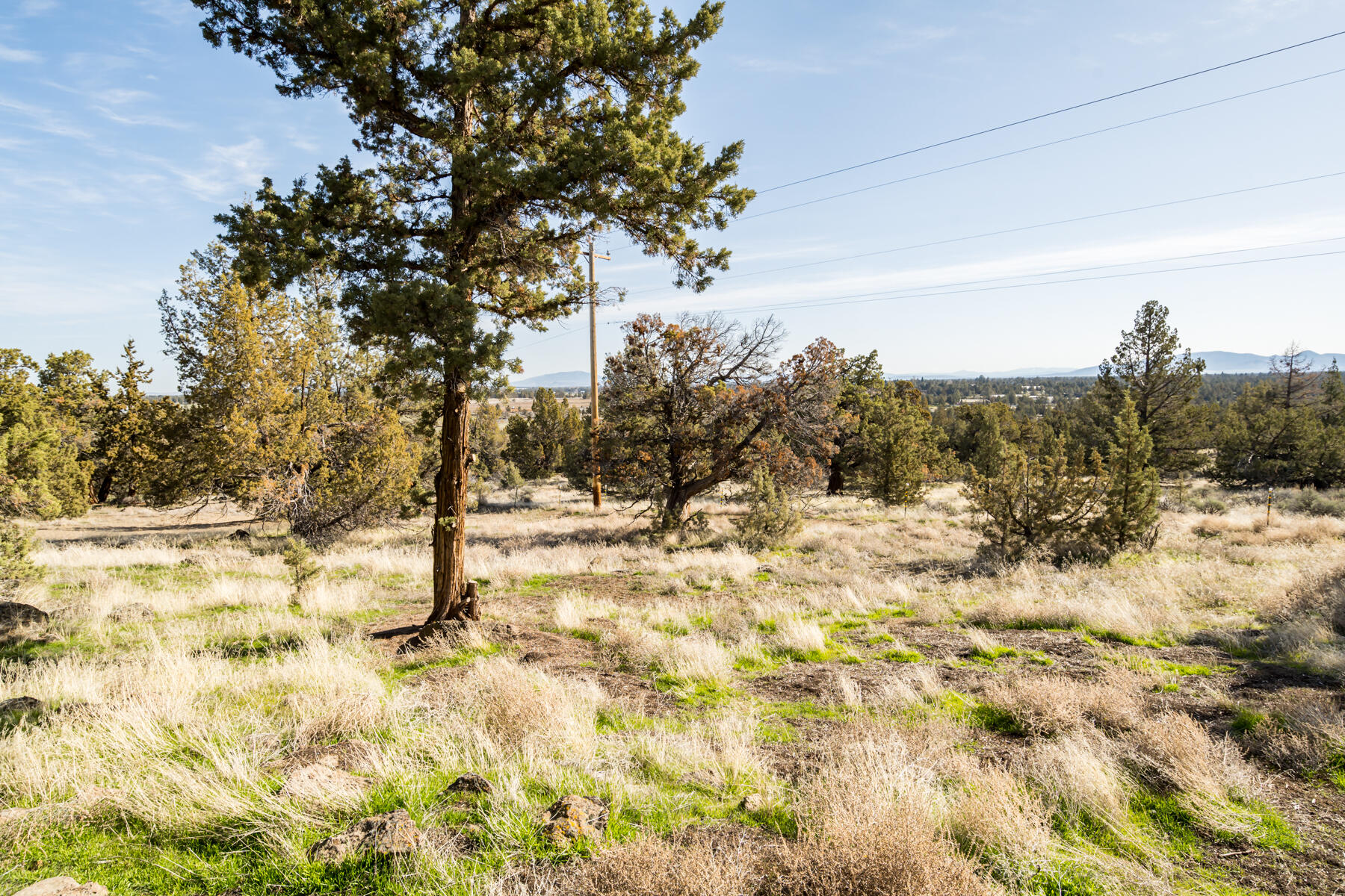 Whispering Pines - Residential