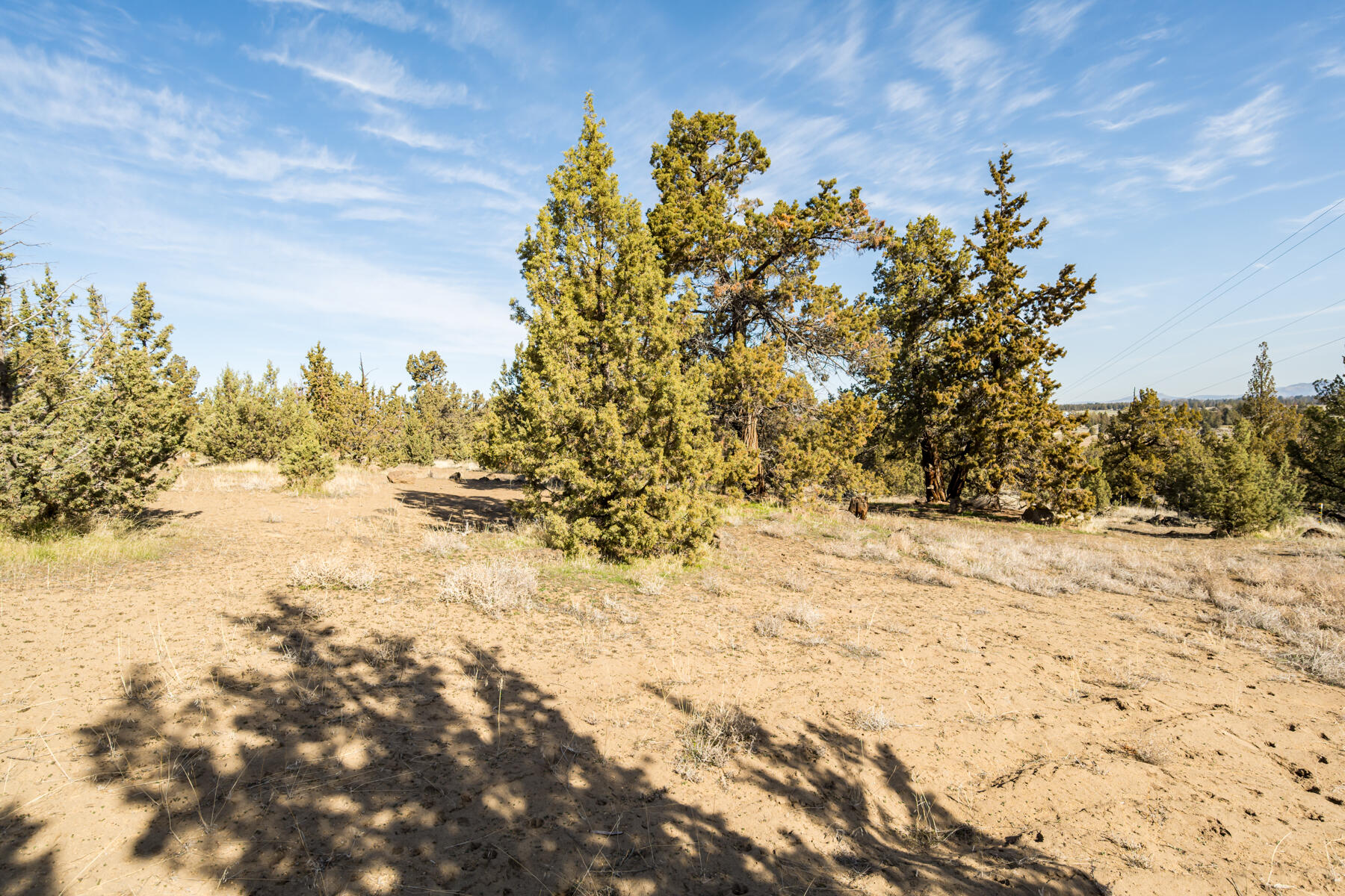 Whispering Pines - Residential