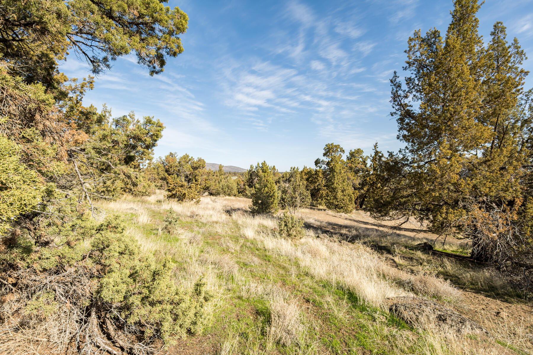 Whispering Pines - Residential